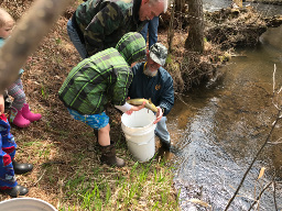 Helping release the Fish